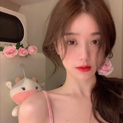 金鹰宝藏